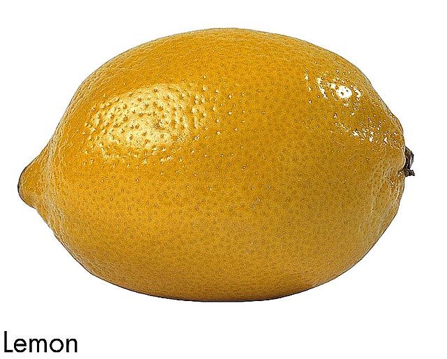 F&V297.jpg