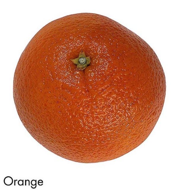 F&V300.jpg