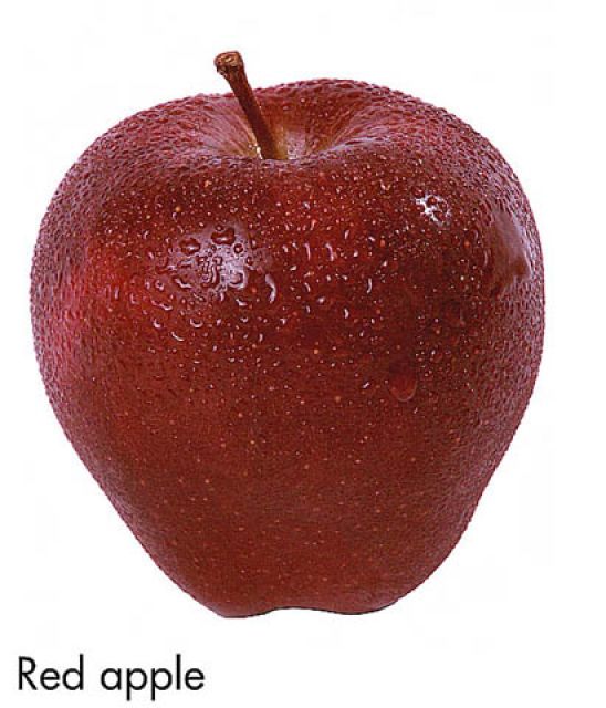 F&V305.jpg