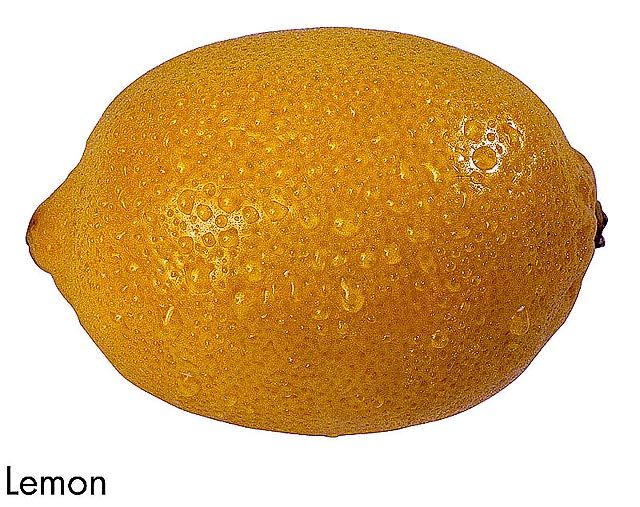 F&V307.jpg