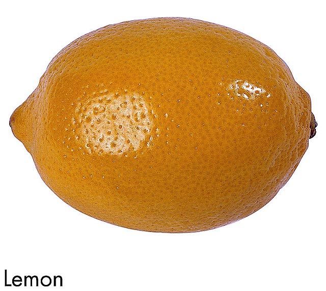 F&V308.jpg