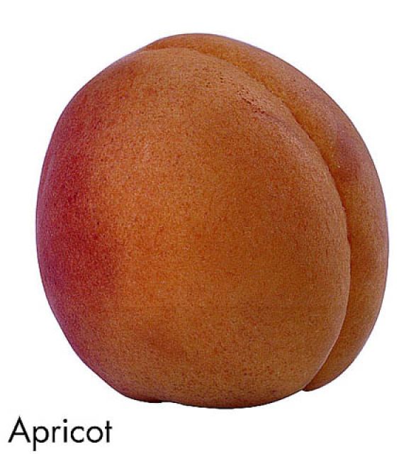 F&V311.jpg
