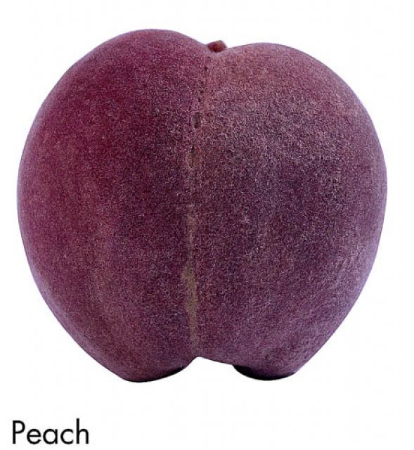 F&V314.jpg
