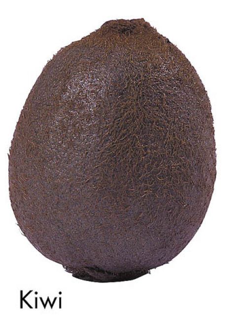 F&V318.jpg