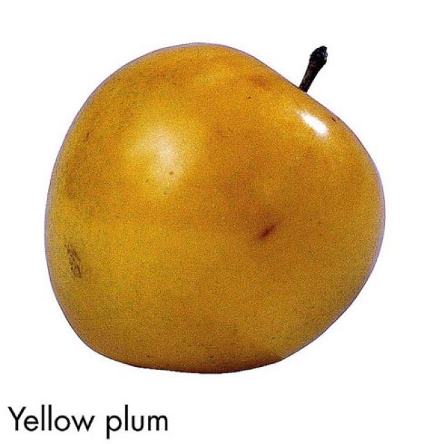 F&V319.jpg