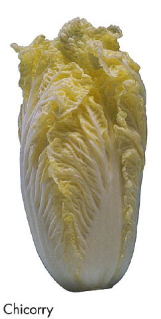F&V325.jpg