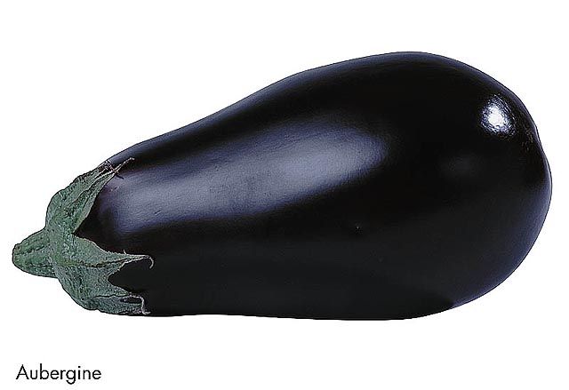 F&V326.jpg