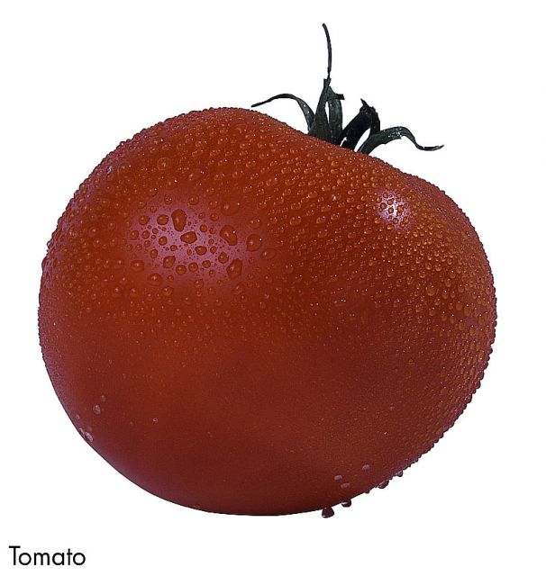 F&V327.jpg
