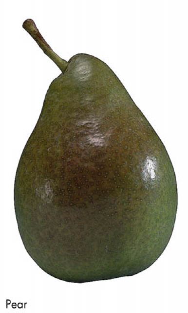 F&V328.jpg