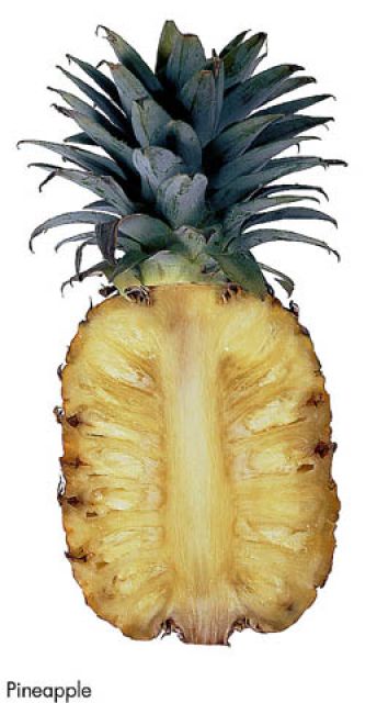 F&V329.jpg