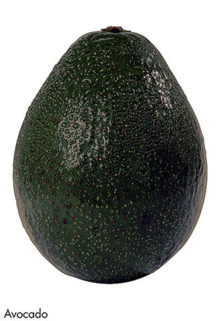 F&V330.jpg