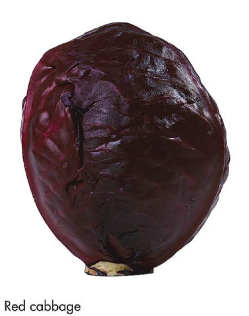 F&V331.jpg