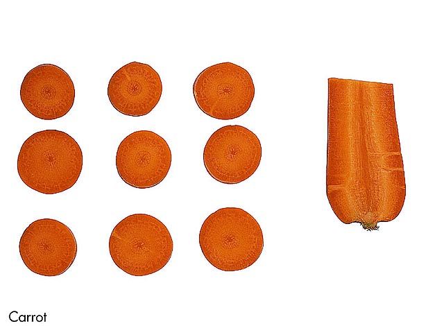 F&V332.jpg