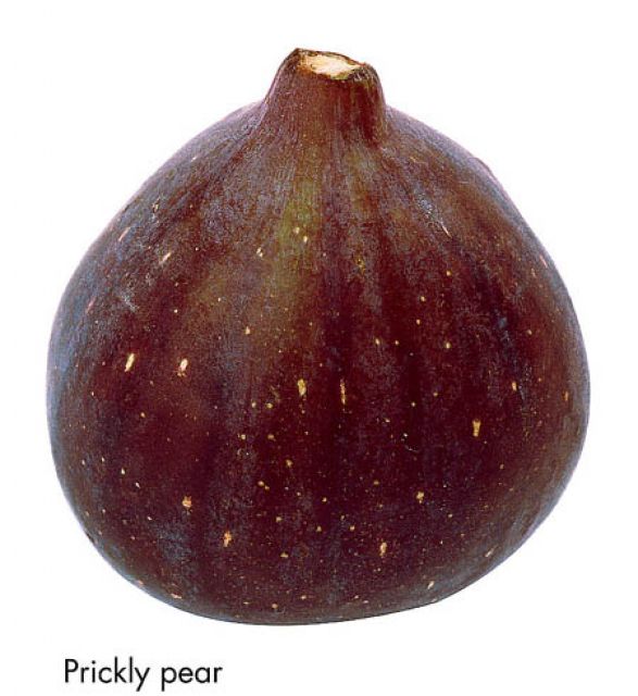 F&V334.jpg