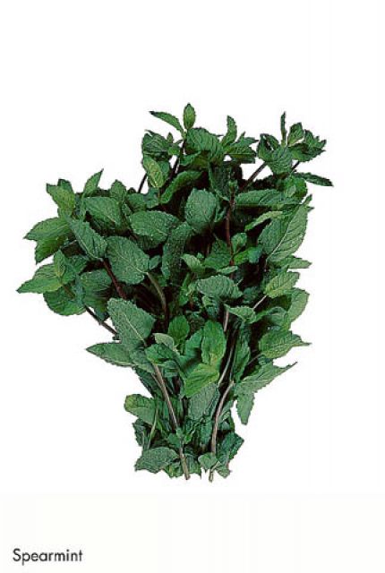 F&V341.jpg