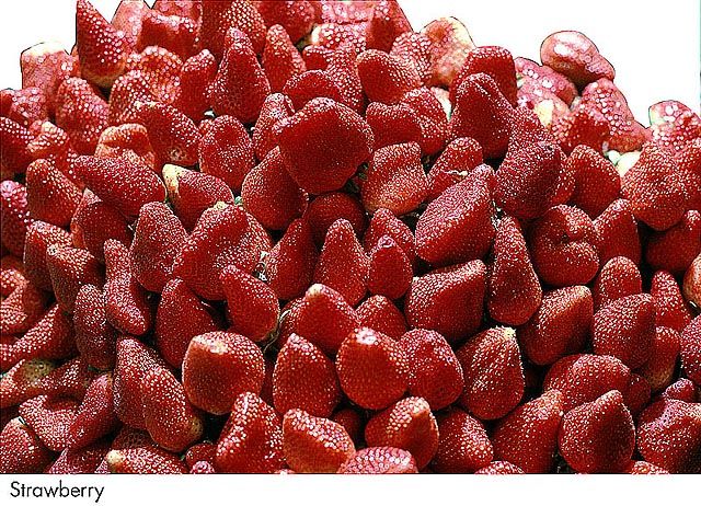 F&V349.jpg