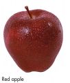 F&V305.jpg