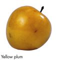 F&V319.jpg