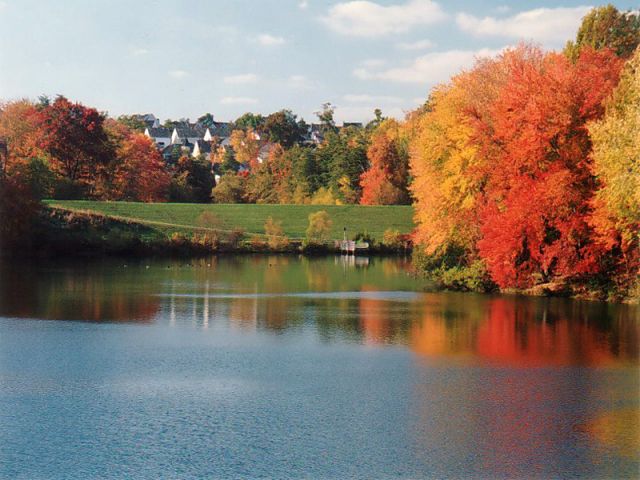 Autumn011.jpg
