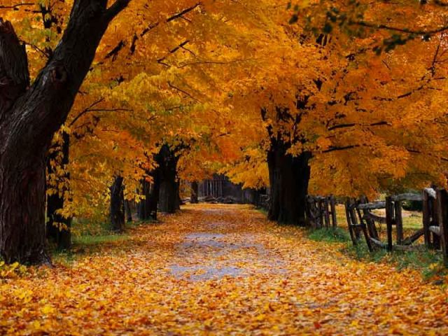 Autumn023.jpg