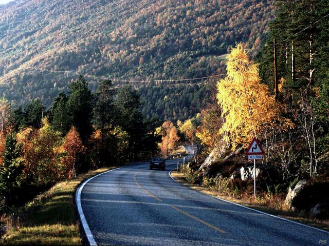 Autumn024.jpg
