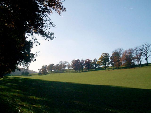 Autumn029.jpg