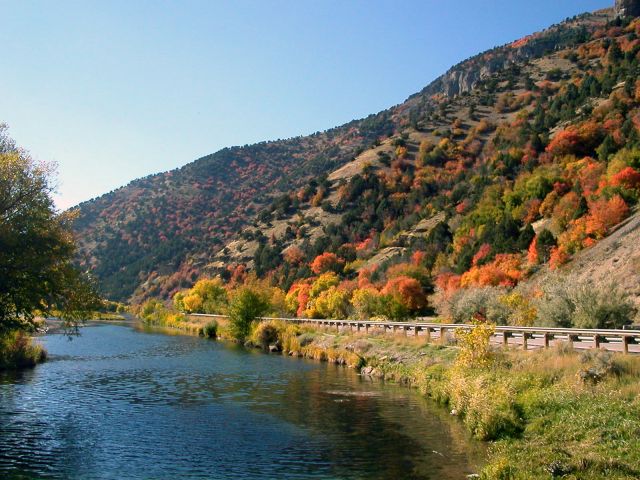 Autumn033.jpg