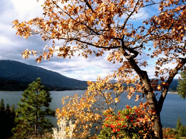 Autumn036.jpg