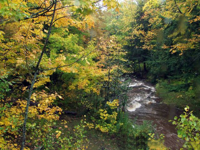 Autumn040.jpg