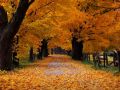 Autumn023.jpg
