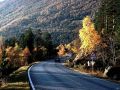 Autumn024.jpg