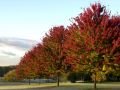 Autumn026.jpg