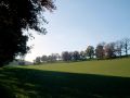 Autumn029.jpg