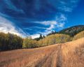 Autumn030.jpg