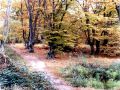 Autumn032.jpg