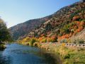 Autumn033.jpg