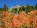 Autumn034.jpg