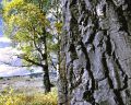 Autumn035.jpg