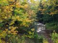 Autumn040.jpg