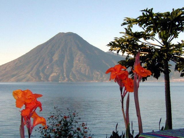 pa270037-atitlan-flowers.jpg