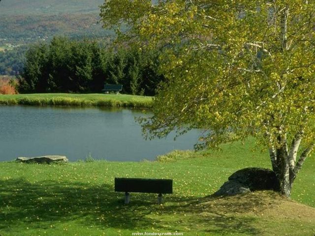 Nature_Wallpapers-002.jpg