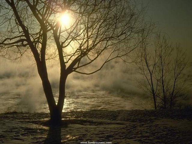 Nature_Wallpapers-003.jpg