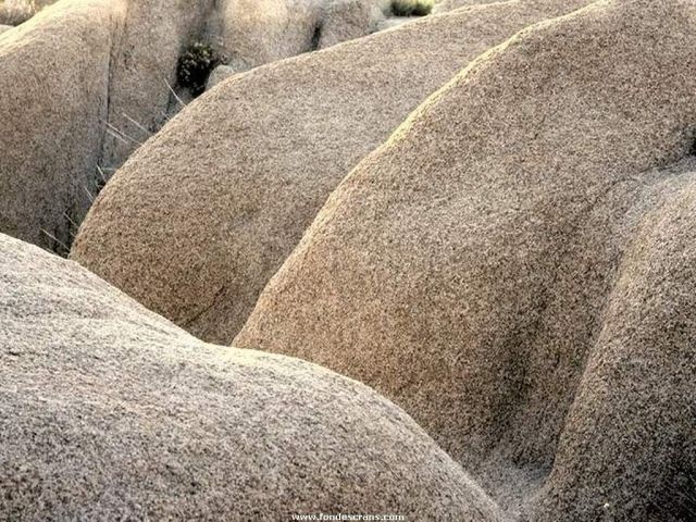 Nature_Wallpapers-036.jpg