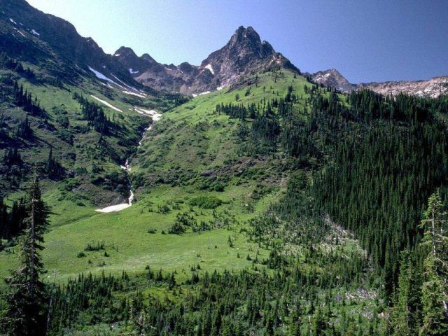 Nature_Wallpapers-037.jpg