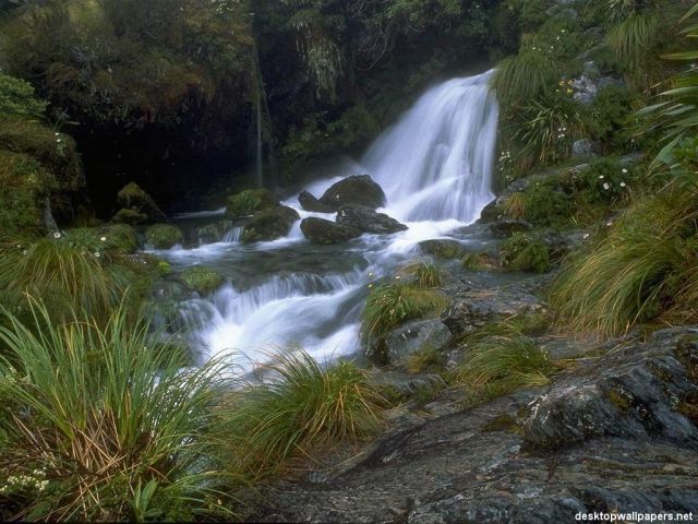 Nature_Wallpapers-038.jpg