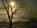 Nature_Wallpapers-003.jpg