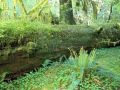 Nature_Wallpapers-005.jpg