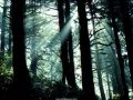 Nature_Wallpapers-007.jpg