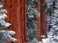 Nature_Wallpapers-011.jpg