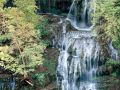 Nature_Wallpapers-014.jpg